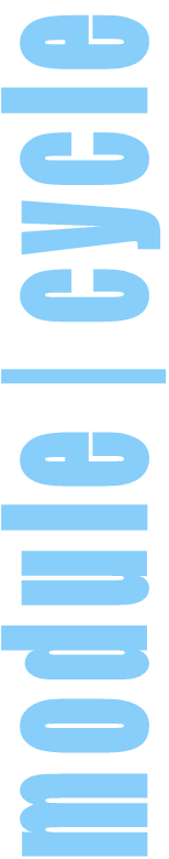 module | cycle
